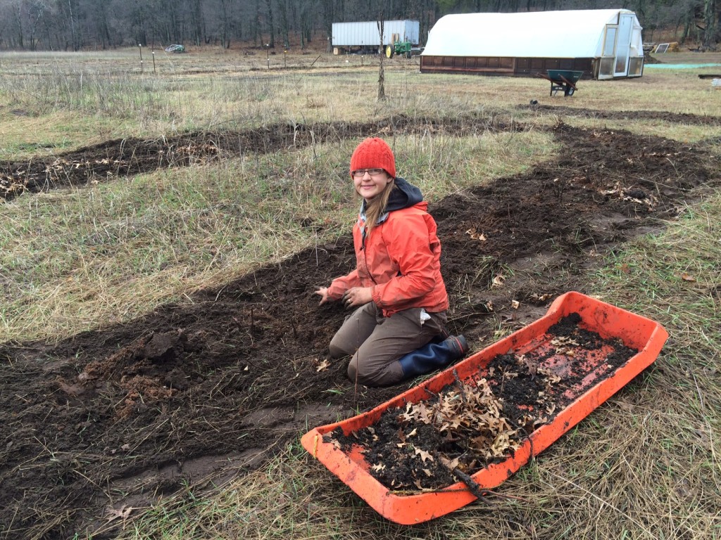 planting hundreds of free raspberry bushes (thanks to the late Afton Raspberry Company!)