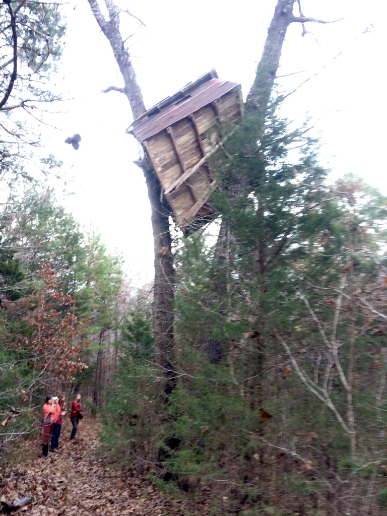 and old treehouse failure decorates the woods of Richardson Farm