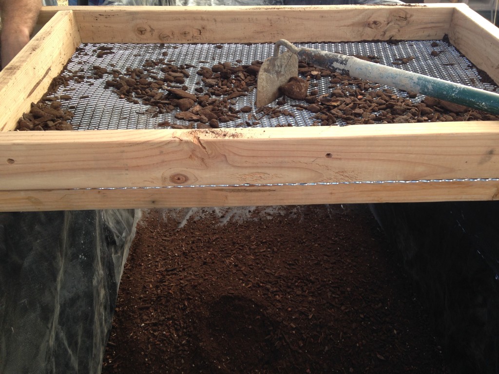 sifting soil for the growbed