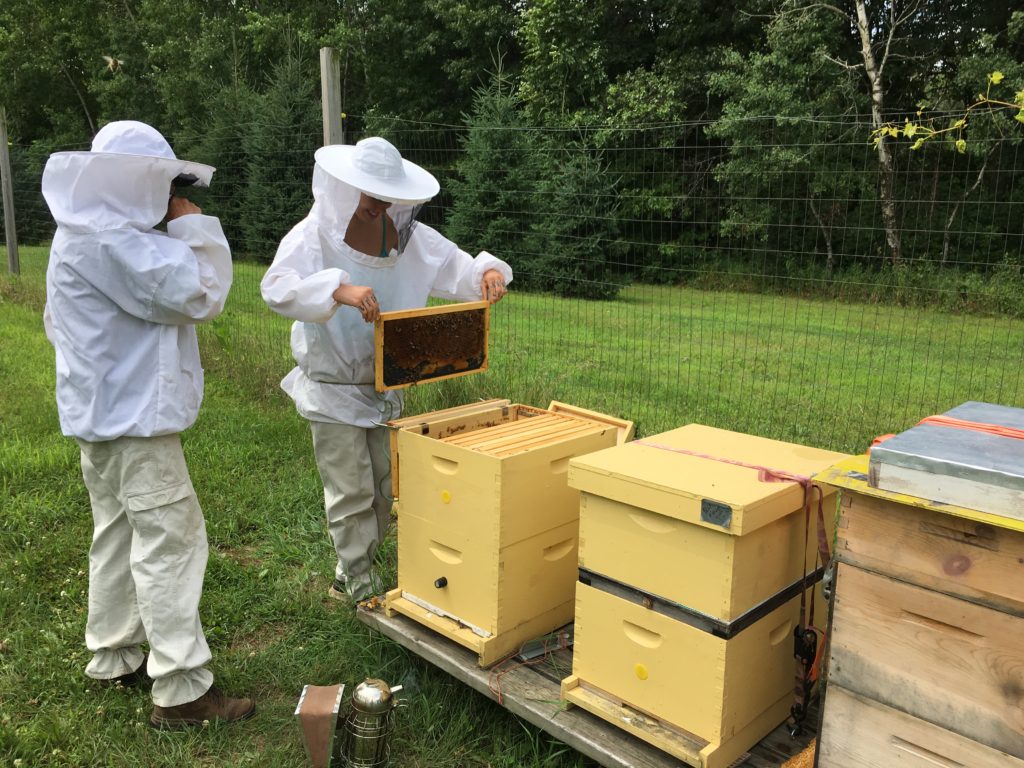 Neighbor Marcia shows WWOOFer Grace how to perform a bee hive inspection