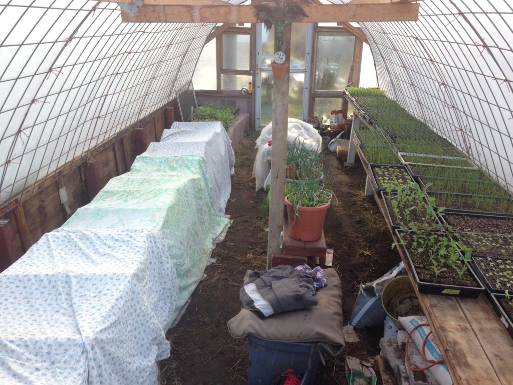 warm season crops snug under cover on the heated bench, while more hardy cool weather crops hang out in the nude