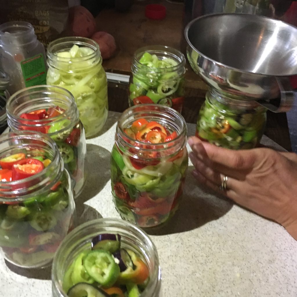 packing pickled peppers